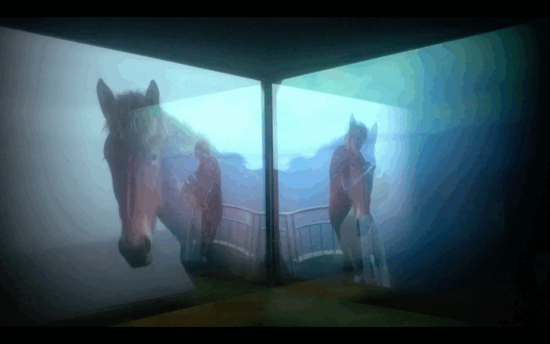 Amie Barouh - salle principale