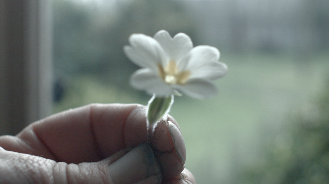 current & upcoming - salle principale